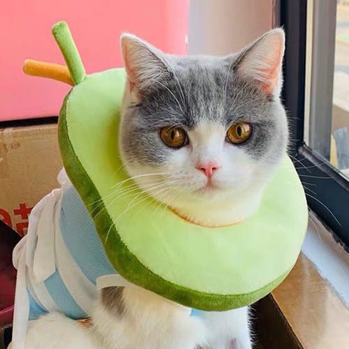 After surgery Anti bite Avocado Collar for pets - Dulces Mascotas BCN