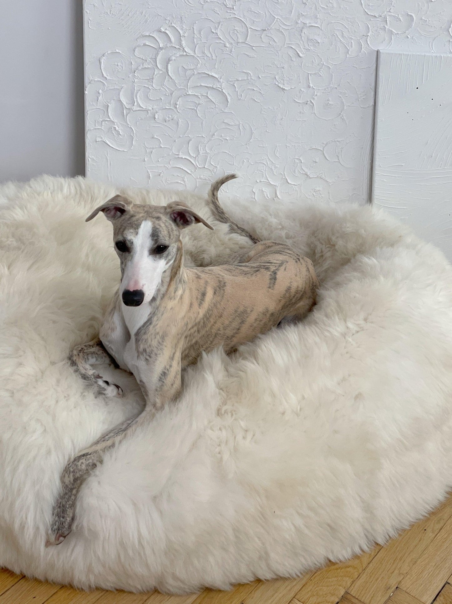 Cama Oval tipo Puff de Lana y Piel de Oveja Natural Hecha a Mano - Blanca - Dulces Mascotas BCN