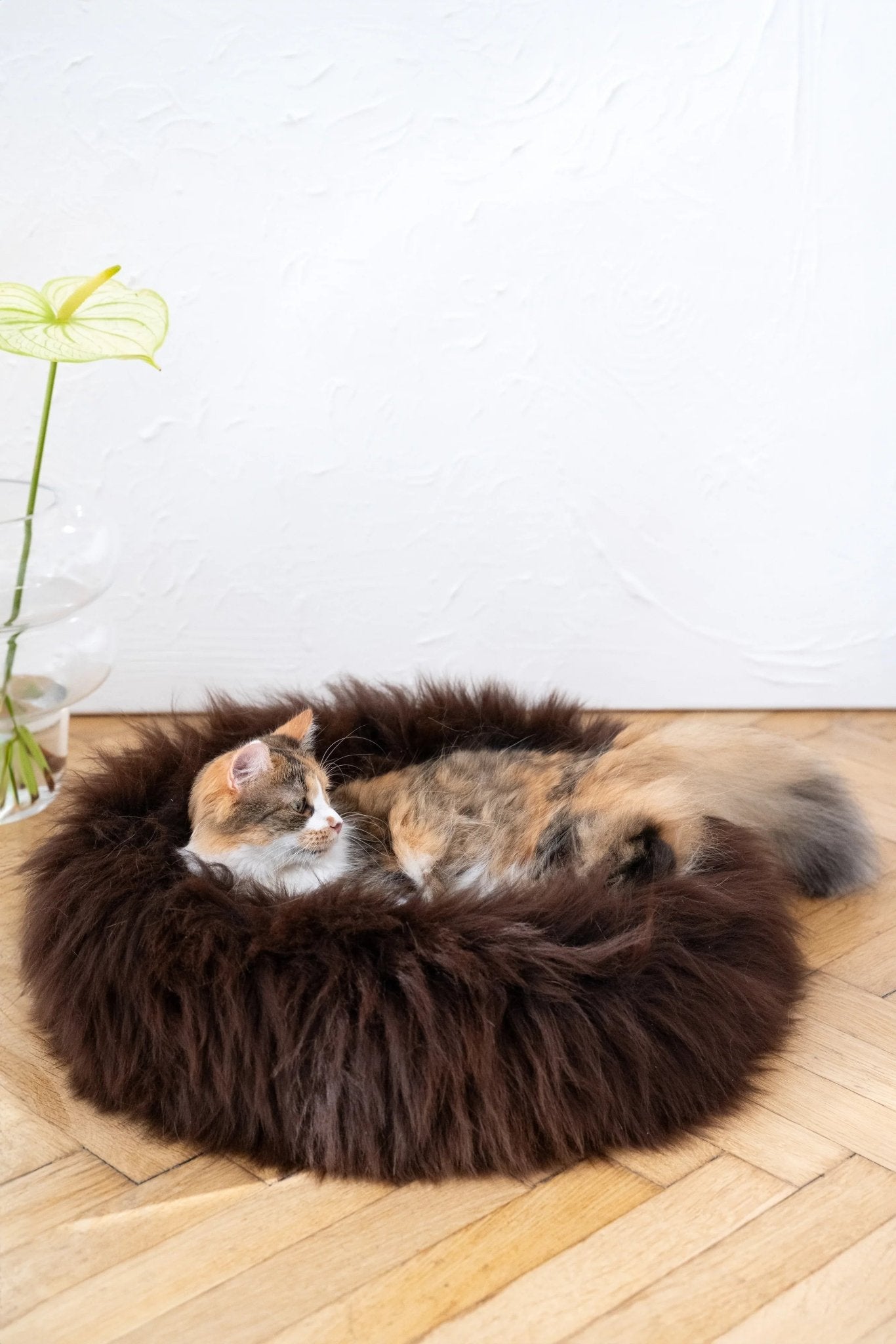 Cama Redonda Artesanal de Piel de Oveja 100% Auténtica, Curtida con Tintes Vegetales - Marrón - Dulces Mascotas BCN