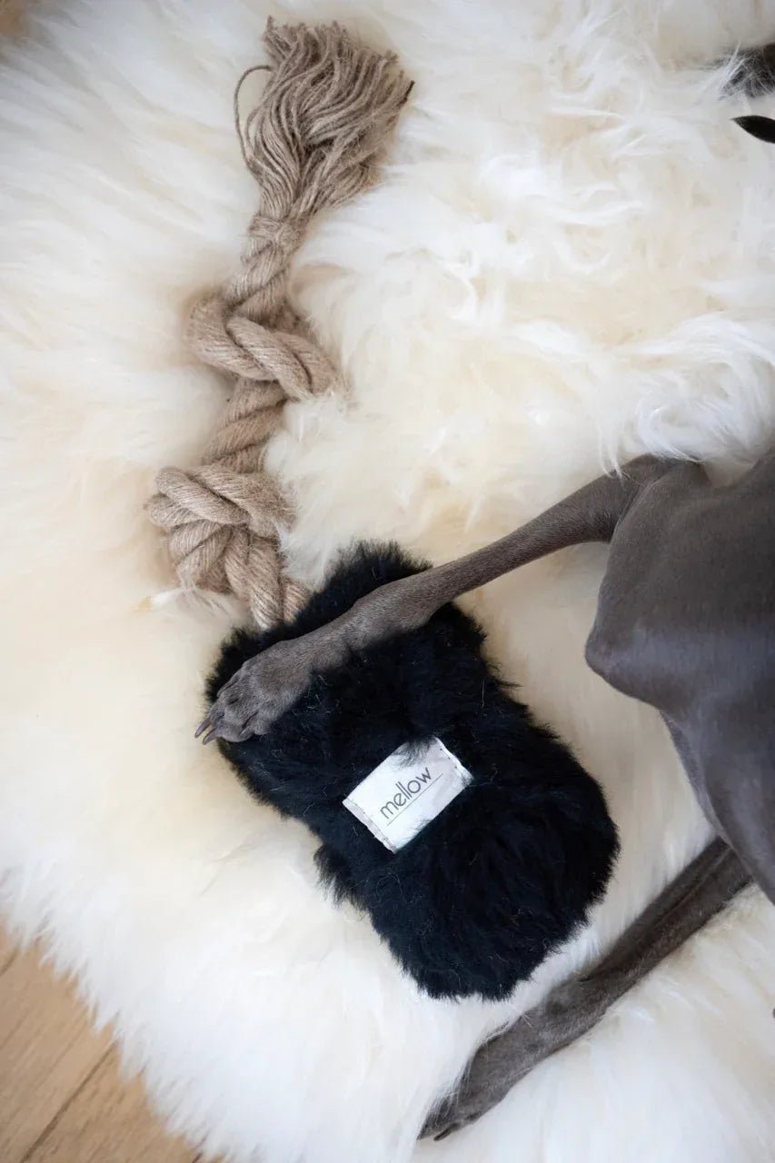 Colchoneta Cuadrada o Rectangular de Piel de Oveja Natural para Mascotas - Blanca - Dulces Mascotas BCN