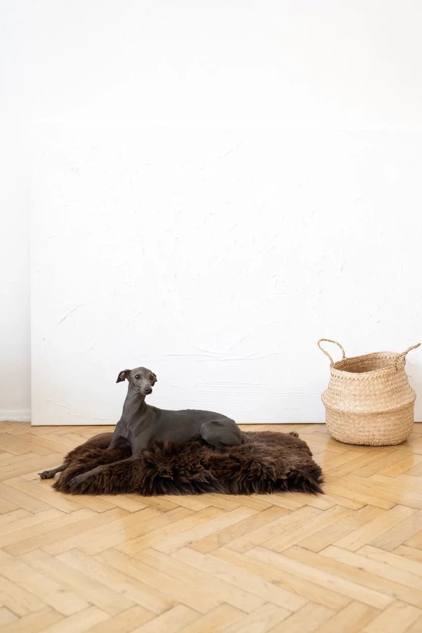 Colchoneta Cuadrada o Rectangular de Piel de Oveja Natural para Mascotas - Marrón - Dulces Mascotas BCN