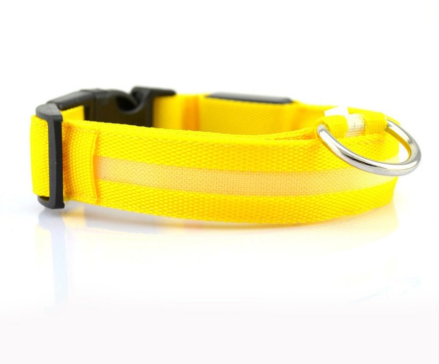 Collar de Nylon luminoso - Dulces Mascotas BCN