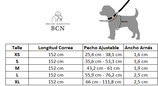 Conjunto Correa y Arnés Step - In - Gris Claro - Dulces Mascotas BCN