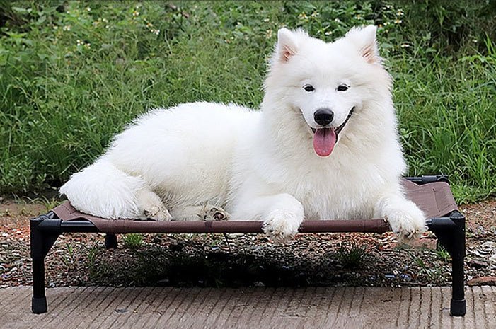 Pet bed dog moisture - proof removable washable stack dog bed Oxford cloth camp bed - Dulces Mascotas BCN