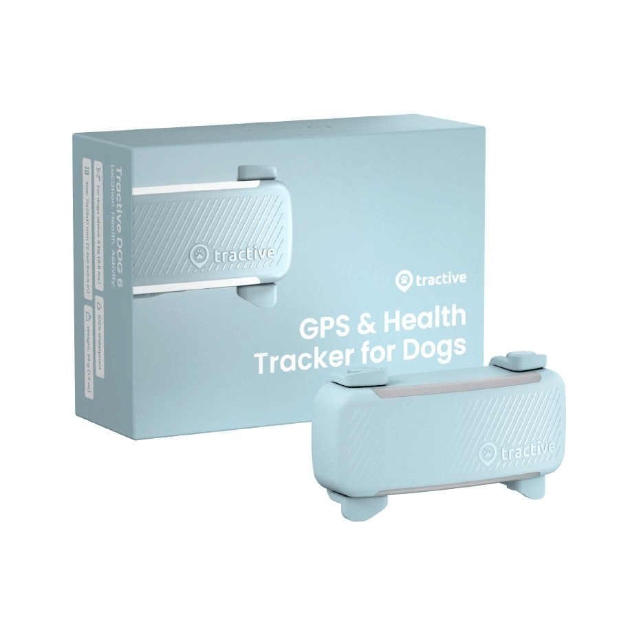 Tractive GPS DOG 6 Localizador GPS Inteligente para Perros - Menta - Dulces Mascotas BCN