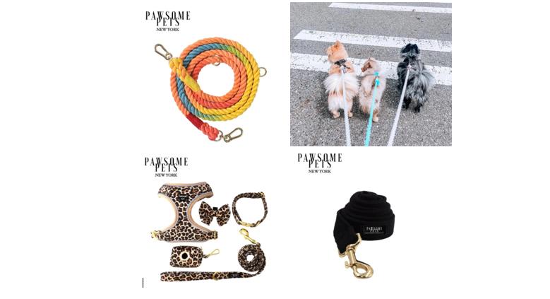 Correas, collares y arneses