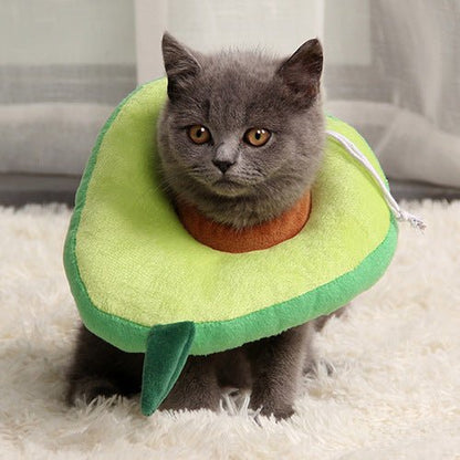 After surgery Anti bite Avocado Collar for pets - Dulces Mascotas BCN