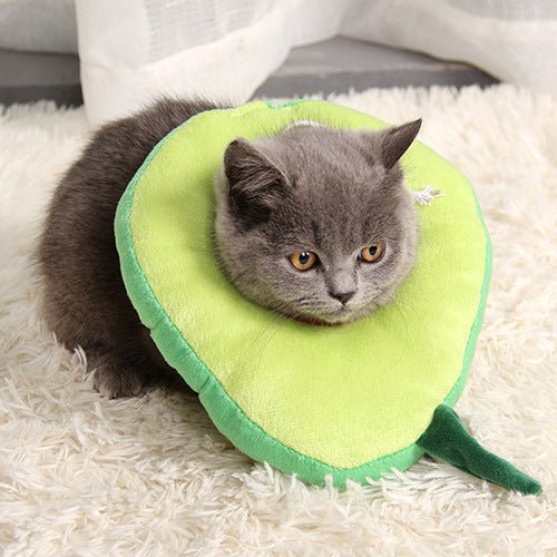 After surgery Anti bite Avocado Collar for pets - Dulces Mascotas BCN