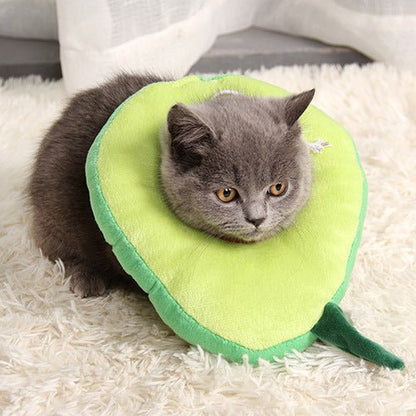After surgery Anti bite Avocado Collar for pets - Dulces Mascotas BCN