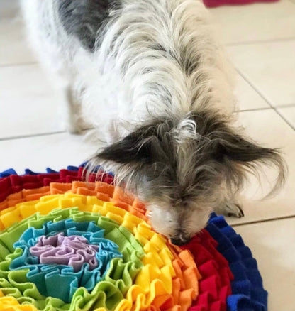 Alfombra olfativa Rainbow Love - Puzzle - Dulces Mascotas BCN