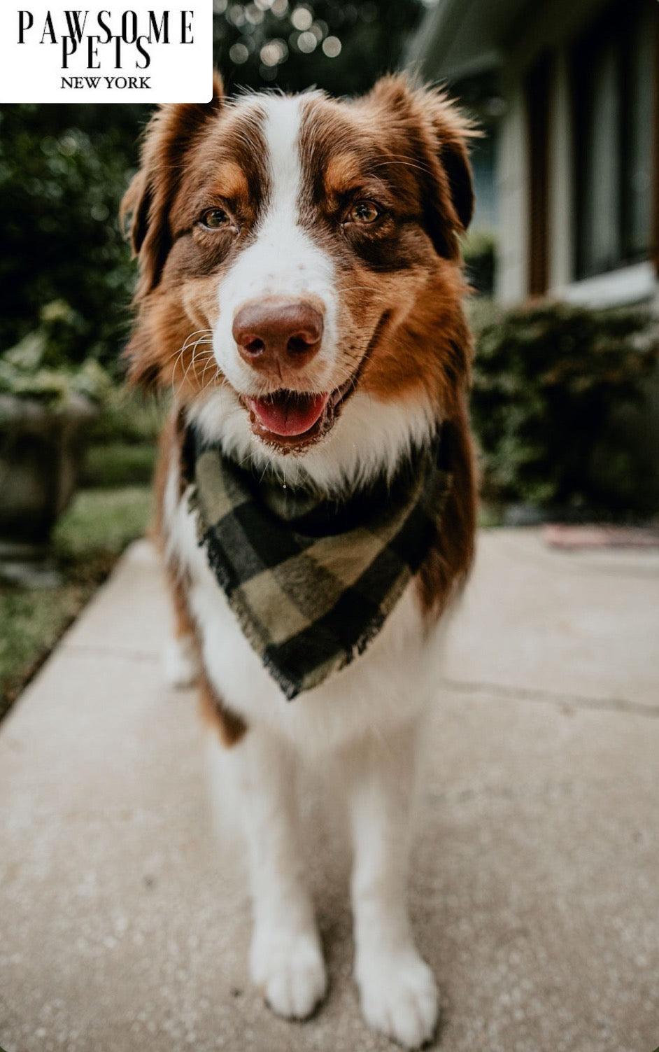 Bandana Artesanal EVERGREEN: El Toque de Estilo que tu Mascota merece - Dulces Mascotas BCN