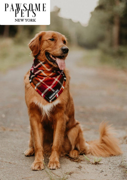 Bandana Artesanal HARVEST: El Toque de Estilo que tu Mascota merece - Dulces Mascotas BCN
