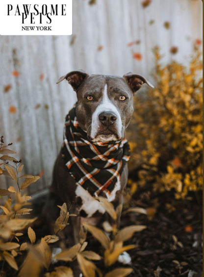 Bandana Artesanal JUNIPER: El Toque de Estilo que tu Mascota merece - Dulces Mascotas BCN