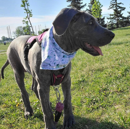 Bandana Artesanal LEAF: El Toque de Estilo que tu Mascota merece - Dulces Mascotas BCN