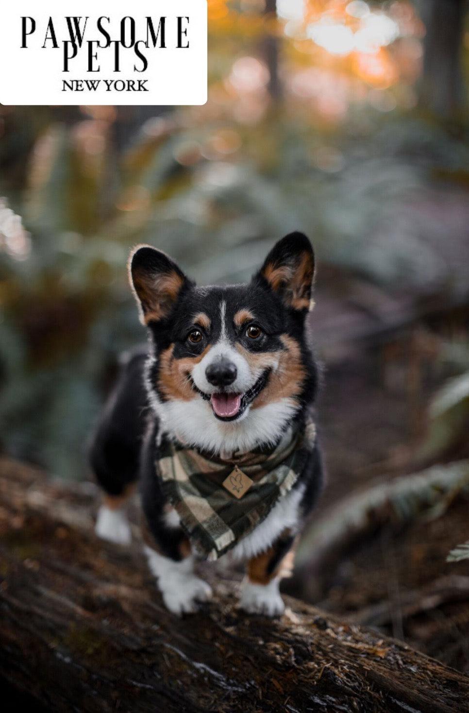 Bandana Artesanal OLIVE GREEN: El Toque de Estilo que tu Mascota merece - Dulces Mascotas BCN
