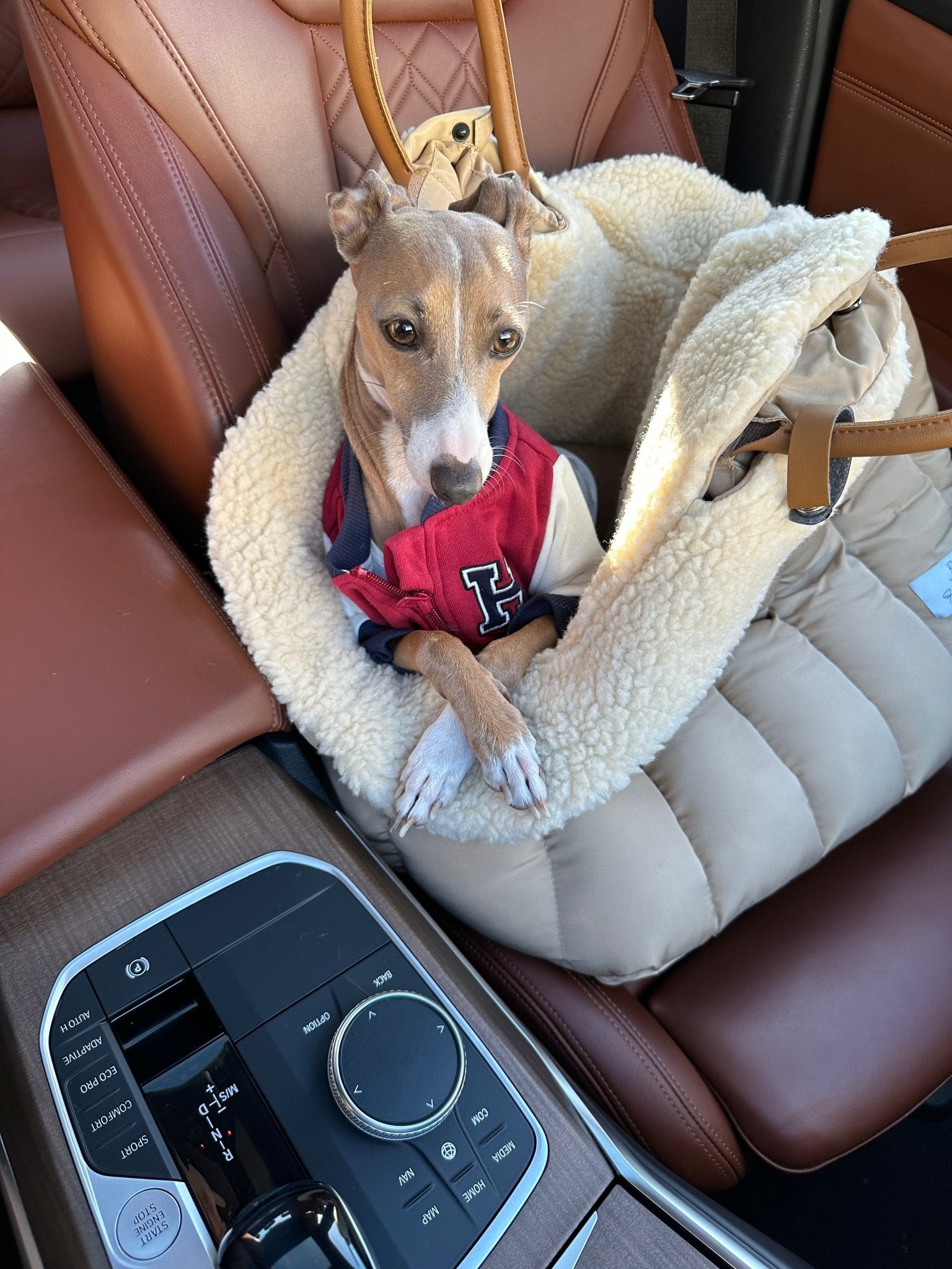 Bolsa Asiento Coche para Perros – Viaje Seguro y Cómodo | Fur & Whiskers - Dulces Mascotas BCN