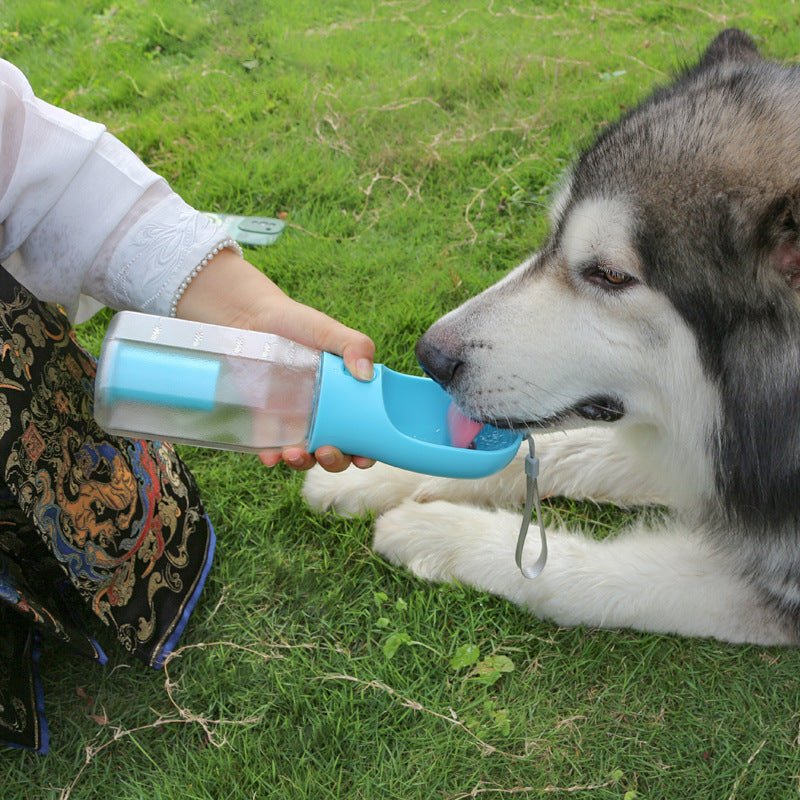 Botella de agua portátil, comedero, bebedero (600 ml) - Dulces Mascotas BCN