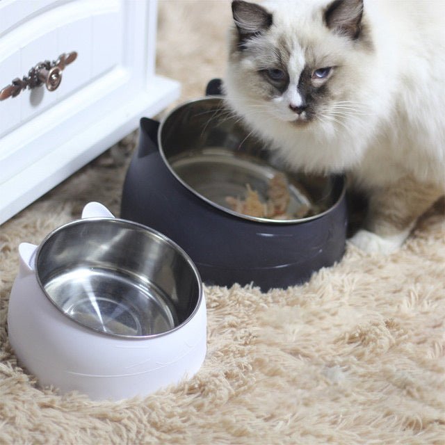 Bowl Elevado para Gatos con Diseño Único - Dulces Mascotas BCN