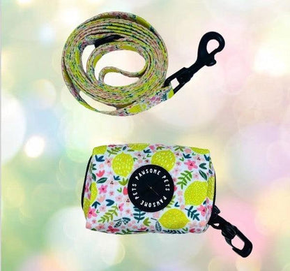 BUNDLE - OH MY LEMON (2 PIECES) - Dulces Mascotas BCN