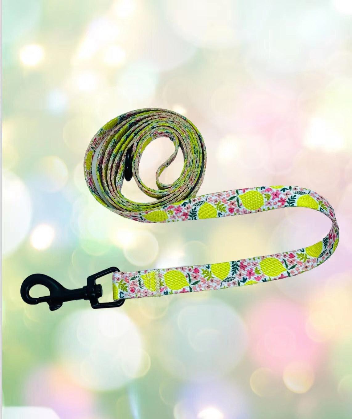 BUNDLE - OH MY LEMON (2 PIECES) - Dulces Mascotas BCN