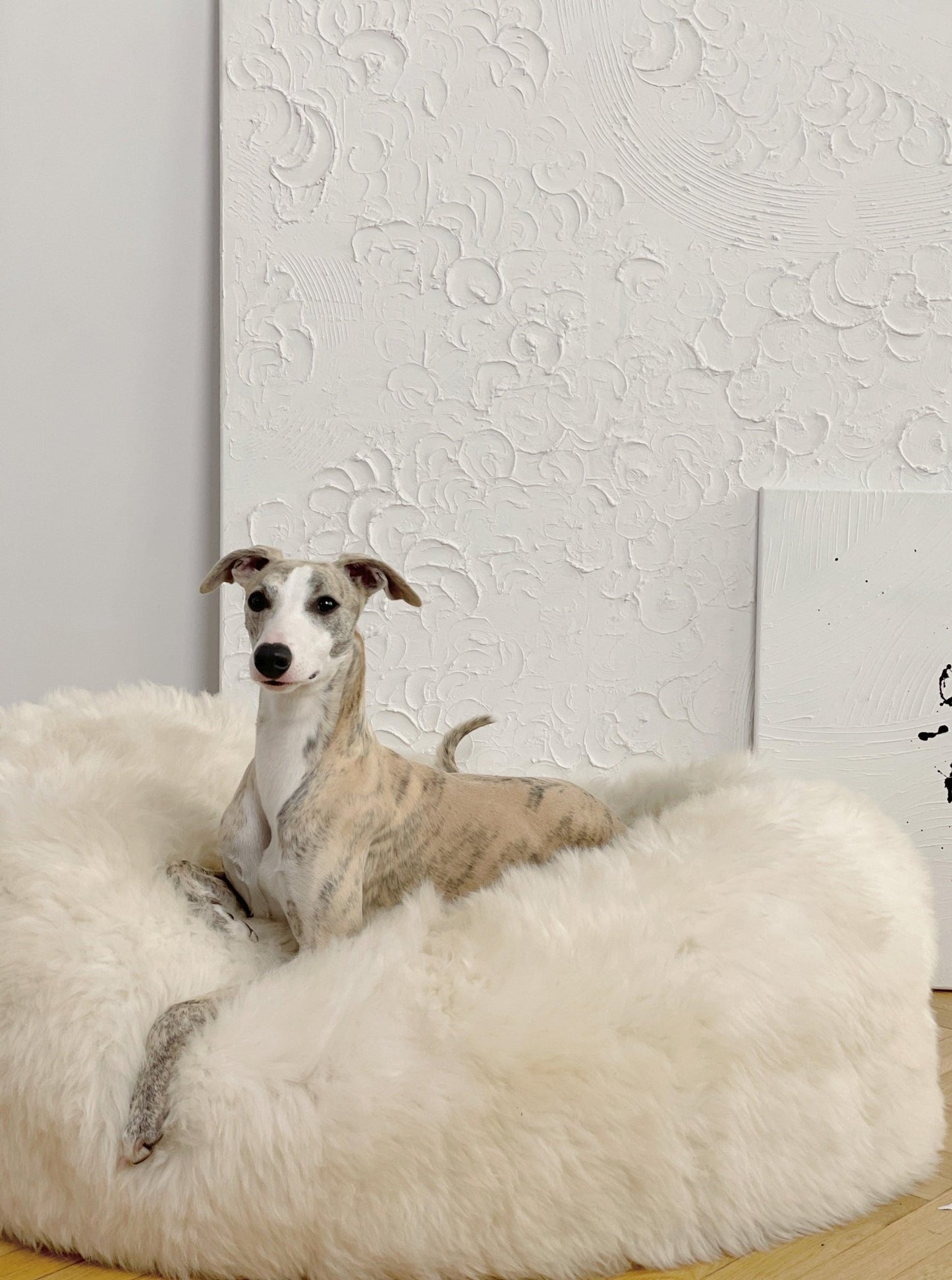 Cama Oval tipo Puff de Lana y Piel de Oveja Natural Hecha a Mano - Blanca - Dulces Mascotas BCN
