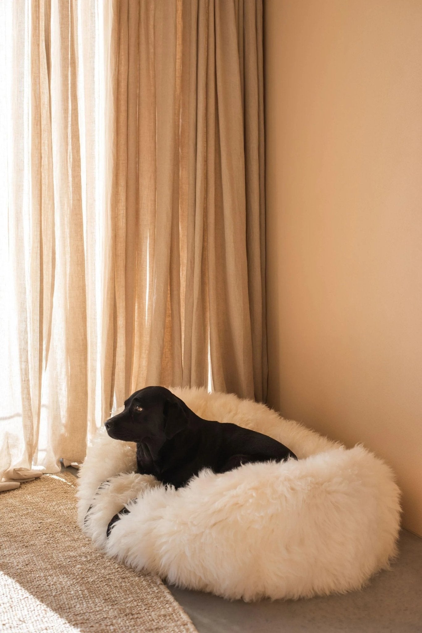 Cama Oval tipo Puff de Lana y Piel de Oveja Natural Hecha a Mano - Blanca - Dulces Mascotas BCN
