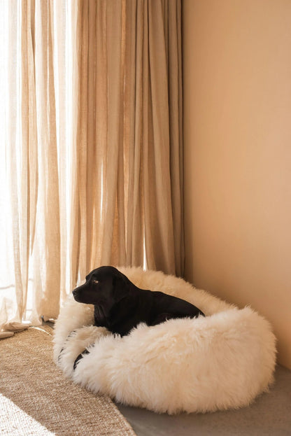 Cama Oval tipo Puff de Lana y Piel de Oveja Natural Hecha a Mano - Blanca - Dulces Mascotas BCN