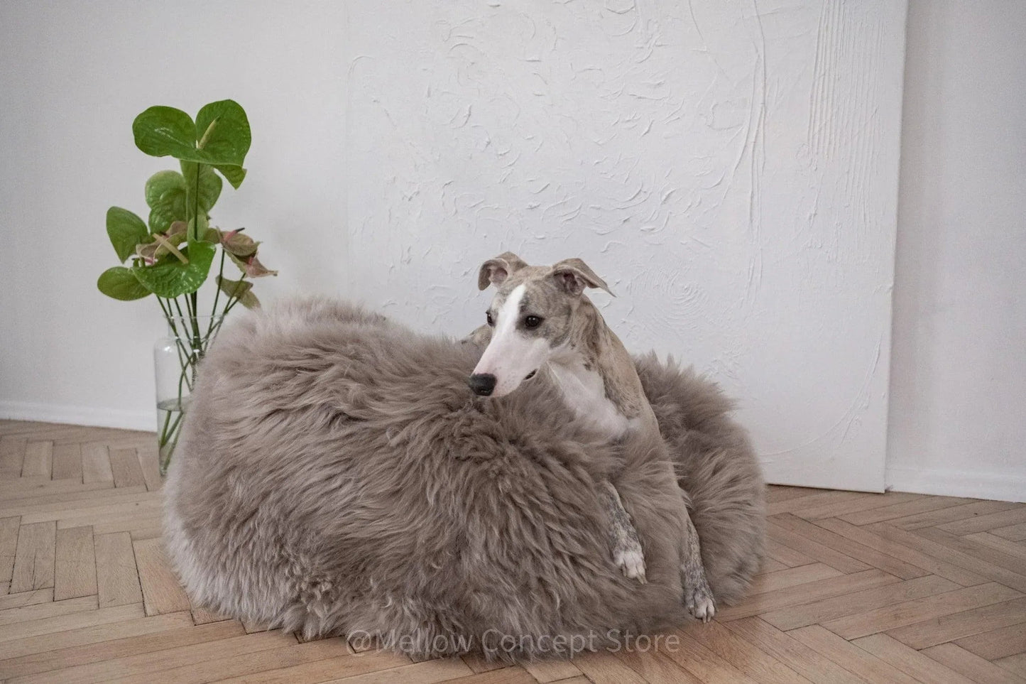 Cama Oval tipo Puff de Lana y Piel de Oveja Natural Hecha a Mano - Gris - Beige - Dulces Mascotas BCN