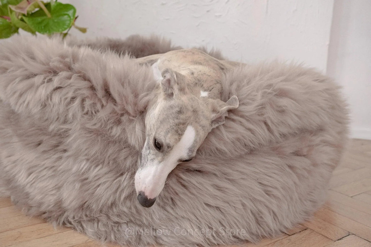 Cama Oval tipo Puff de Lana y Piel de Oveja Natural Hecha a Mano - Gris - Beige - Dulces Mascotas BCN
