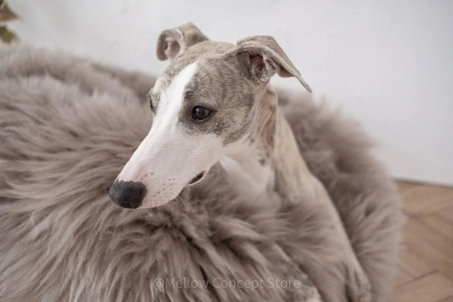 Cama Oval tipo Puff de Lana y Piel de Oveja Natural Hecha a Mano - Gris - Beige - Dulces Mascotas BCN