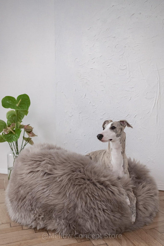 Cama Oval tipo Puff de Lana y Piel de Oveja Natural Hecha a Mano - Gris - Beige - Dulces Mascotas BCN