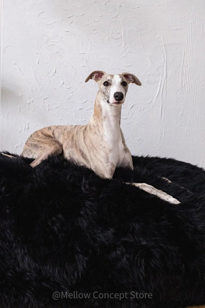 Cama Oval tipo Puff de Lana y Piel de Oveja Natural Hecha a Mano - Negra - Dulces Mascotas BCN