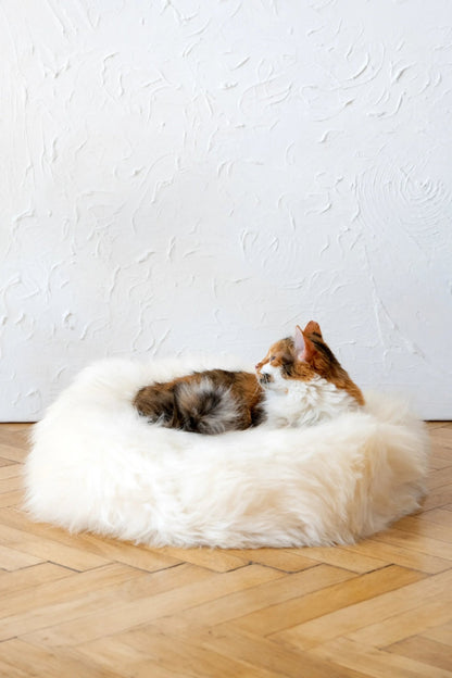Cama Redonda Artesanal de Piel de Oveja 100% Auténtica, Curtida con Tintes Vegetales - Blanca - Dulces Mascotas BCN