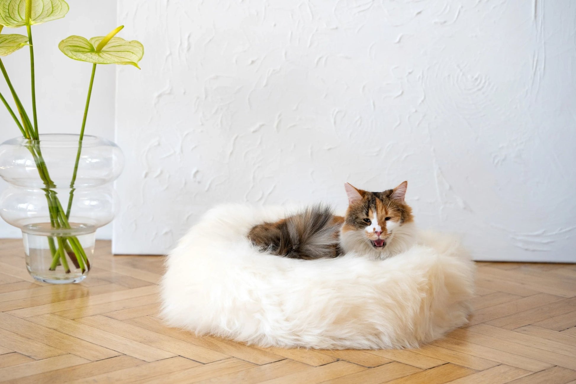 Cama Redonda Artesanal de Piel de Oveja 100% Auténtica, Curtida con Tintes Vegetales - Blanca - Dulces Mascotas BCN