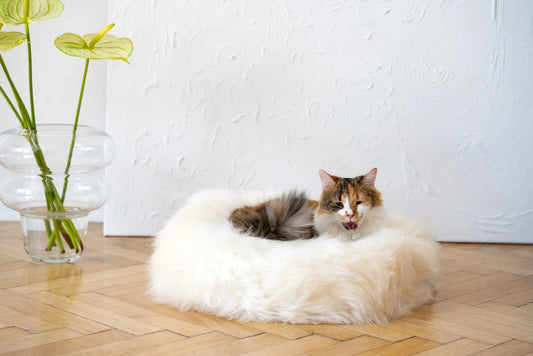 Cama Redonda Artesanal de Piel de Oveja 100% Auténtica, Curtida con Tintes Vegetales - Blanca - Dulces Mascotas BCN