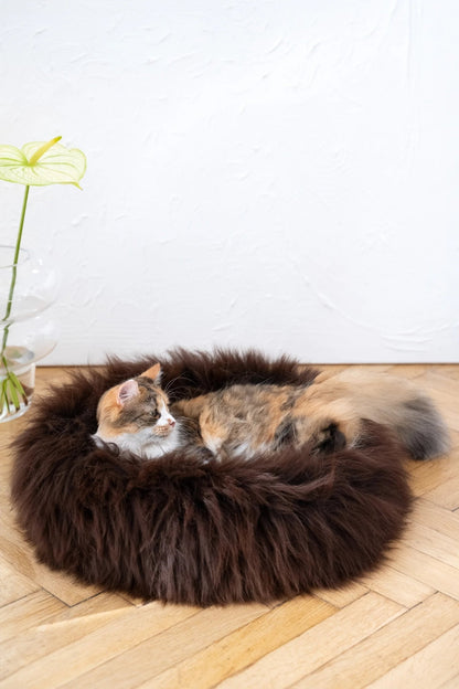 Cama Redonda Artesanal de Piel de Oveja 100% Auténtica, Curtida con Tintes Vegetales - Marrón - Dulces Mascotas BCN