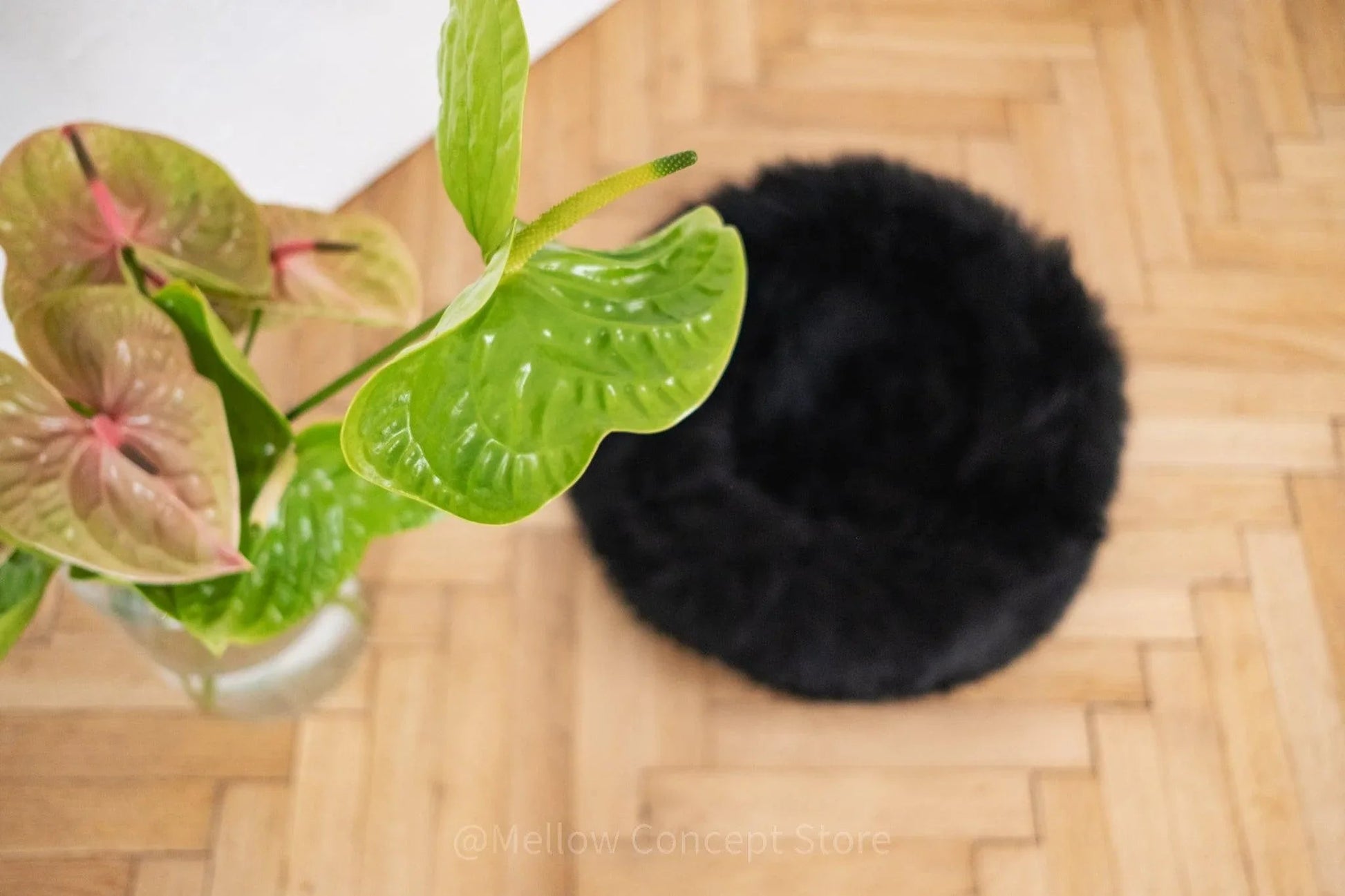 Cama Redonda Artesanal de Piel de Oveja 100% Auténtica, Curtida con Tintes Vegetales - Negra - Dulces Mascotas BCN