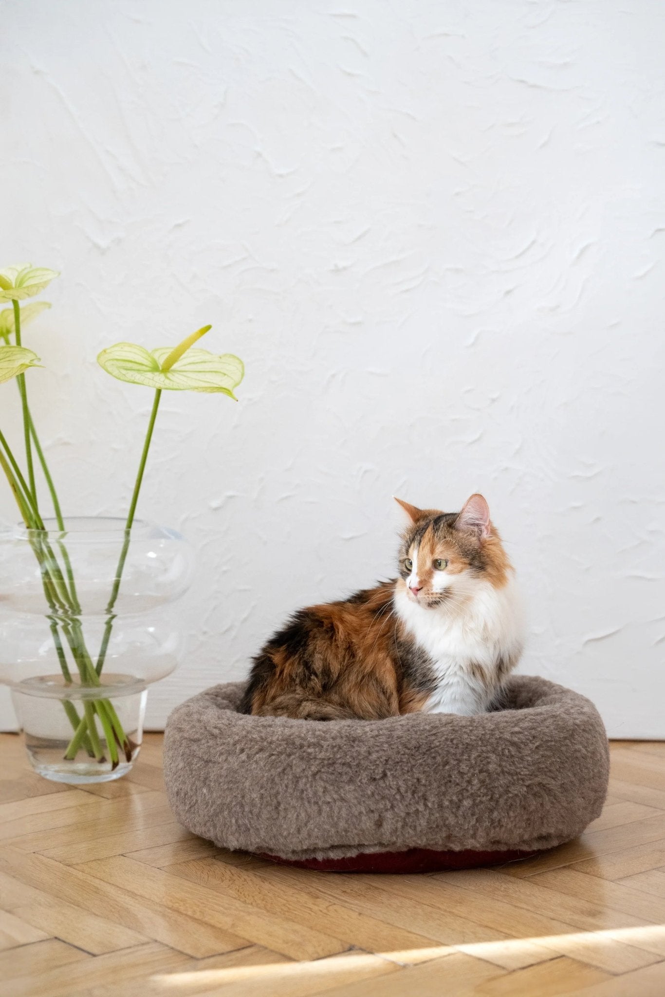 Cama Redonda Artesanal para Mascotas de Lana Natural - Beige - Dulces Mascotas BCN
