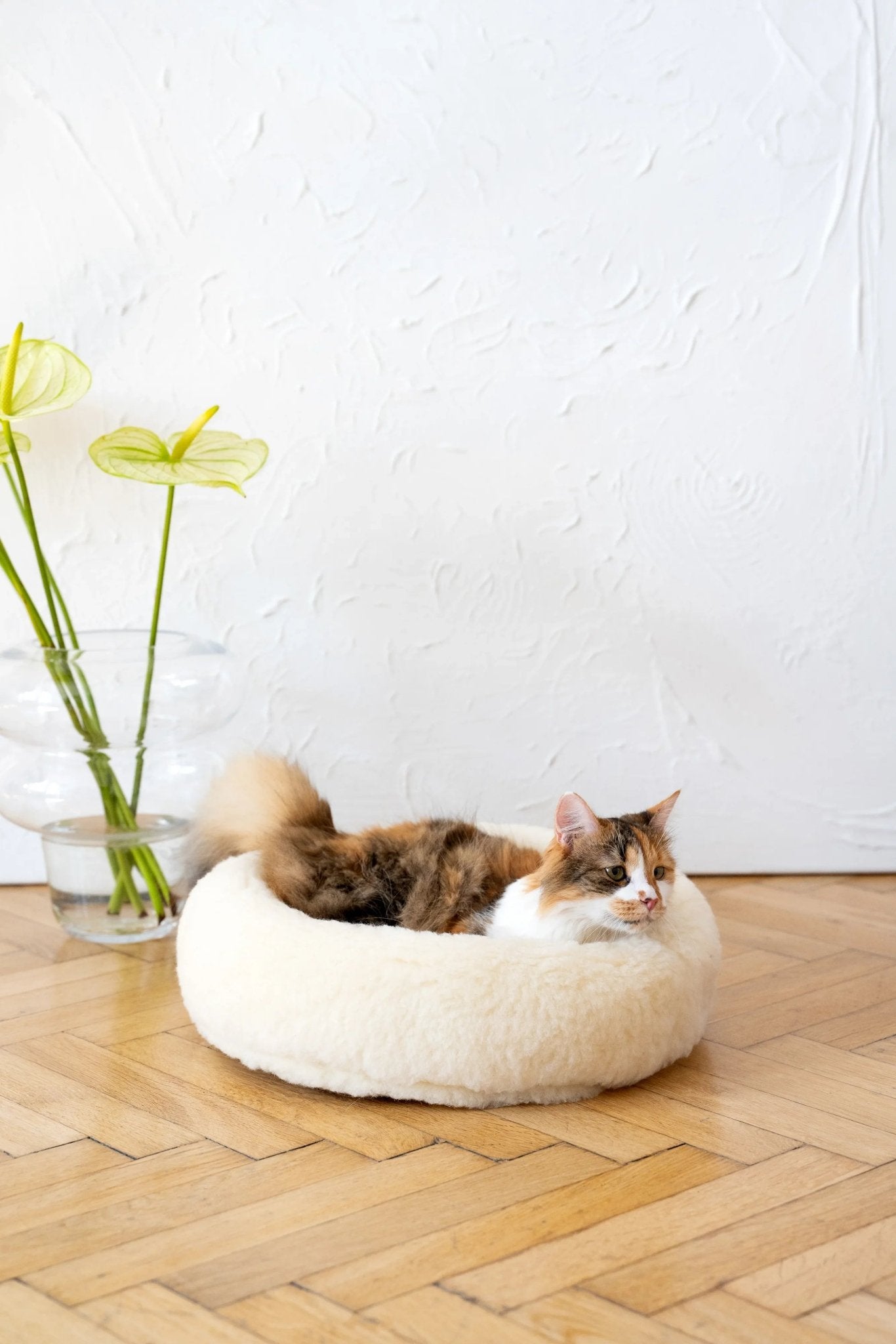 Cama Redonda Artesanal para Mascotas de Lana Natural - Blanca - Dulces Mascotas BCN