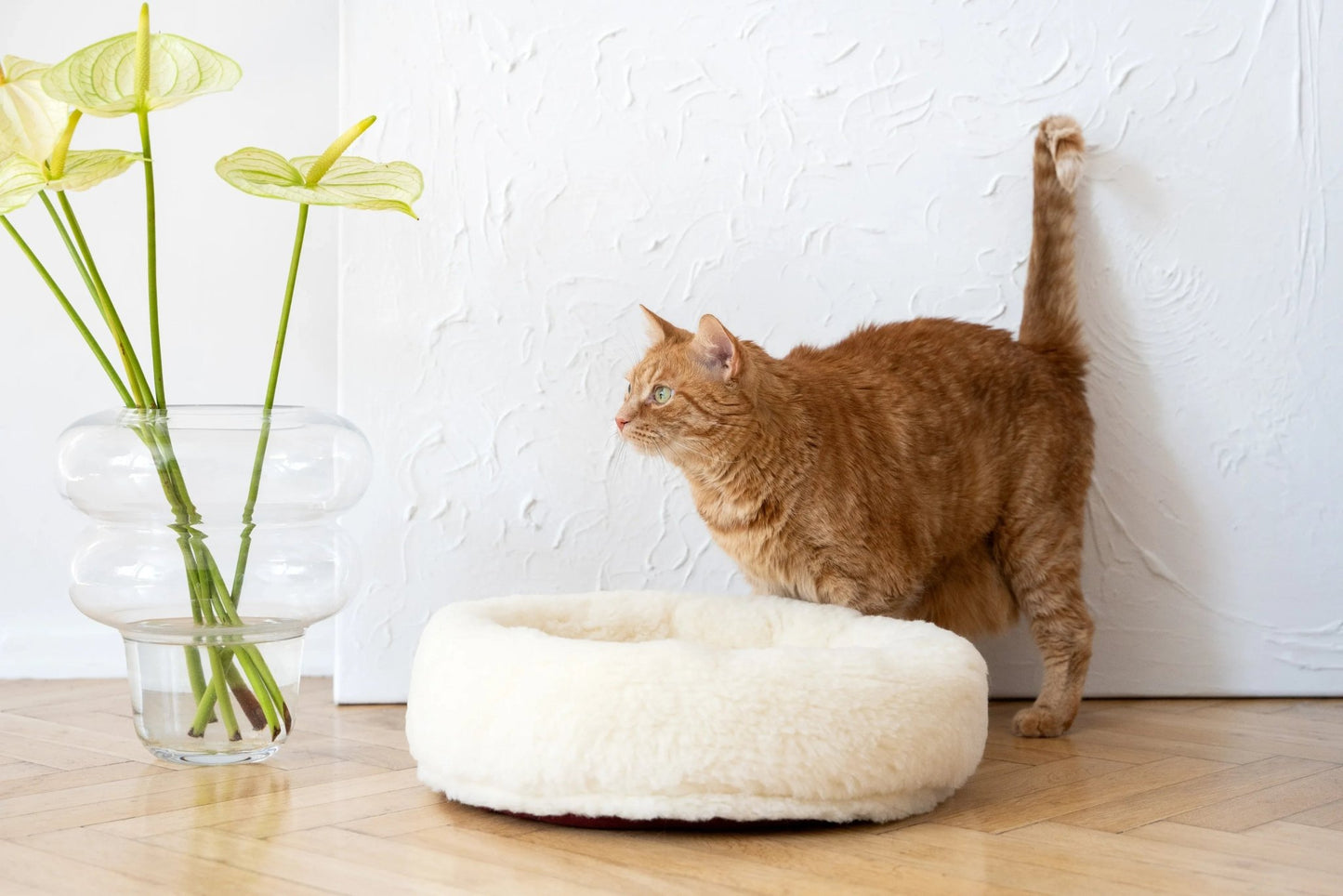 Cama Redonda Artesanal para Mascotas de Lana Natural - Blanca - Dulces Mascotas BCN
