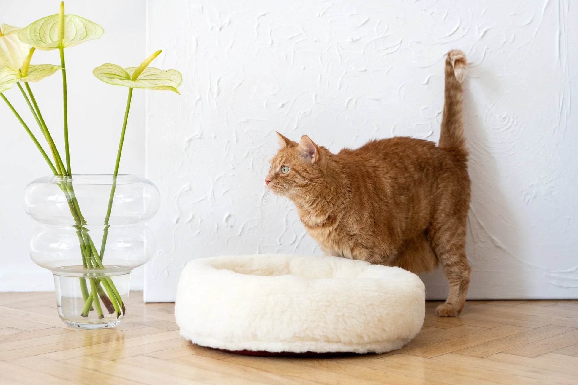 Cama Redonda Artesanal para Mascotas de Lana Natural - Blanca - Dulces Mascotas BCN