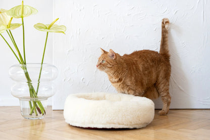 Cama Redonda Artesanal para Mascotas de Lana Natural - Blanca - Dulces Mascotas BCN