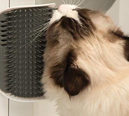 Cat Corner Groomer - Dulces Mascotas BCN