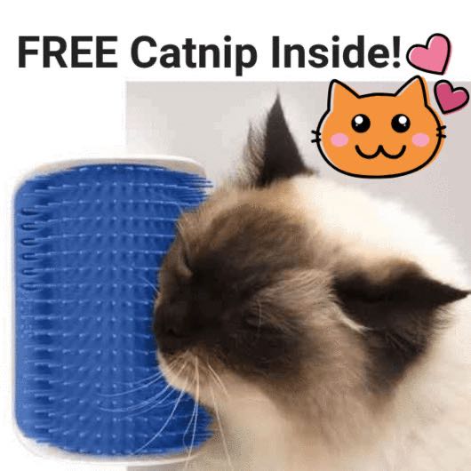 Cat Corner Groomer - Dulces Mascotas BCN