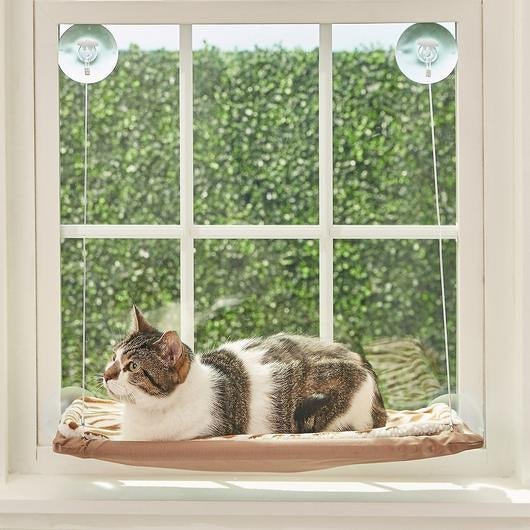 Cat Window Seat Hammock - Dulces Mascotas BCN