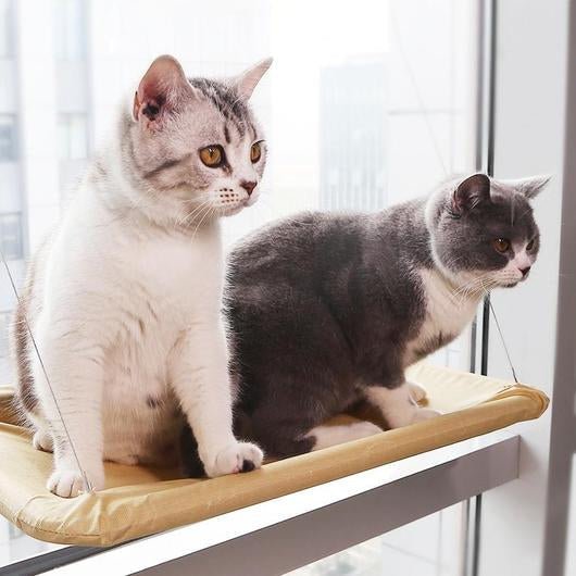 Cat Window Seat Hammock - Dulces Mascotas BCN