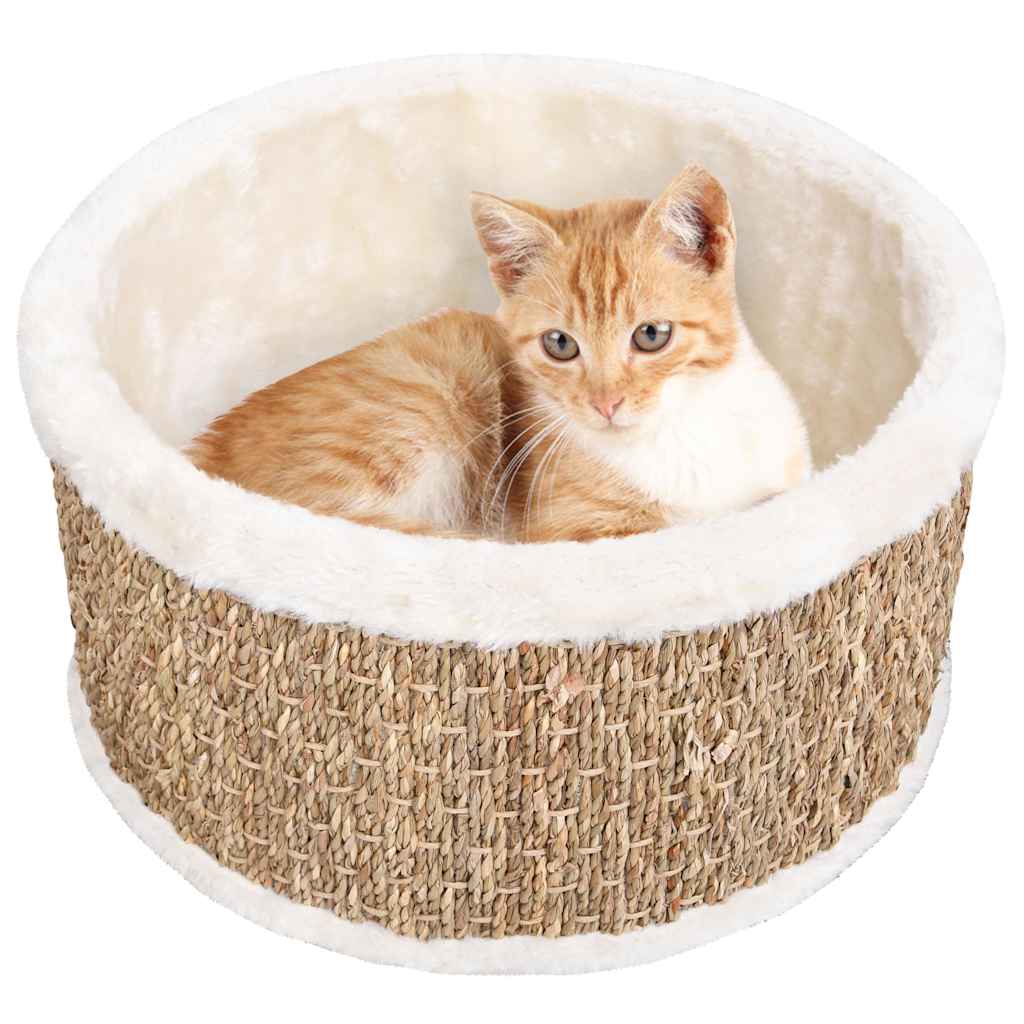 Cesta Redonda para Gatos de Seagrass 36 cm | Rascador Natural - Dulces Mascotas BCN