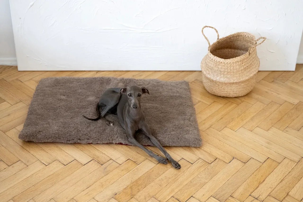 Colchoneta Cuadrada o Rectangular de Lana Natural para Mascotas - Beige - Dulces Mascotas BCN