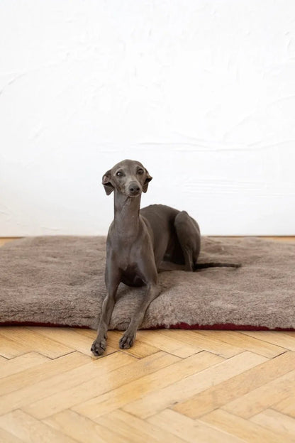 Colchoneta Cuadrada o Rectangular de Lana Natural para Mascotas - Beige - Dulces Mascotas BCN