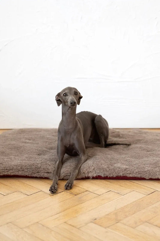 Colchoneta Cuadrada o Rectangular de Lana Natural para Mascotas - Beige - Dulces Mascotas BCN